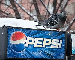Pepsico разрывается между пользой и прибылью