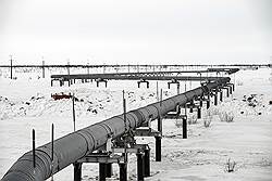 Сибирская нефть уперлась в тариф