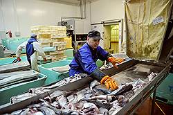 Глеб Франк опроверг продажу «Русской рыбопромышленной компании»