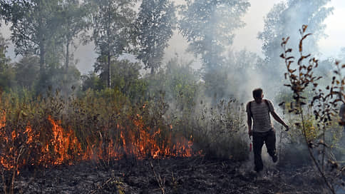 В России снова запахло дымом // Регионы приступили к сезонной борьбе с лесными пожарами