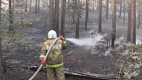 В Иркутской области продолжает действовать 17 лесных пожаров, в Бурятии — 46