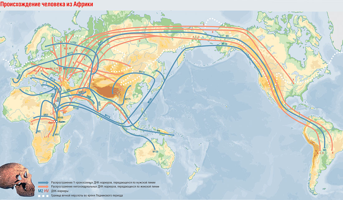 Место происхождения. Карта миграции древних людей. Расселение людей из Африки. Расселение человека из Африки карта. Расселение древних людей по земле.