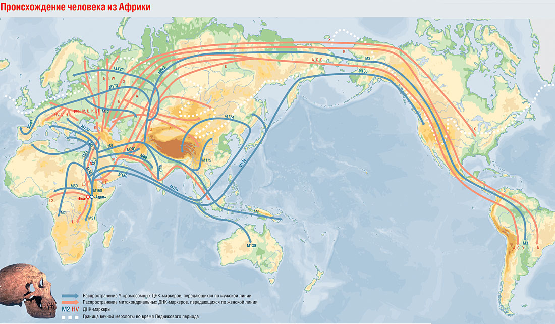 Распространение людей на земле 6 класс география. Расселение первых людей из Африки. Карта миграции человечества. Расселение человека из Африки карта. Карта миграции древних людей.