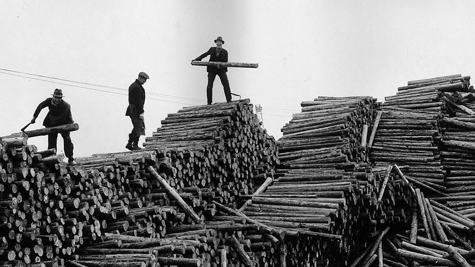 Борьба за дрова человека