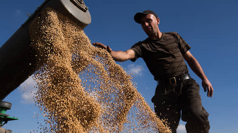 ВТБ сдал пшеницу // Группа продала почти 50% зернового бизнеса
