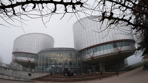 Российский фейк дошел до Страсбурга // ЕСПЧ принял первую жалобу из РФ из-за информации о коронавирусе