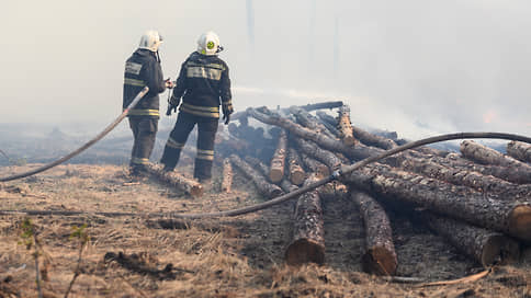 Лесной пожар начался с кражи // Неудачное хищение металла привело к уничтожению сосен на 103 га под Воронежем