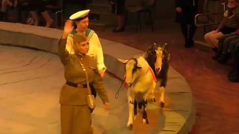 Цирк со свастикой // Прокуратура начала проверку после публикации фотографий дрессированных коз с фашистской символикой