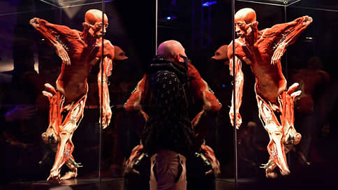 «Каждую мышцу, каждую косточку» // Как встретили анатомическую выставку Хагенса в Москве