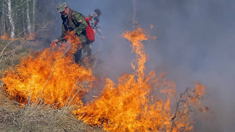 Сибирь зажигает // Площадь лесных пожаров в нескольких регионах резко выросла