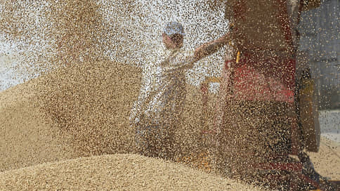 Зерно довело до колонии // Бывших сотрудников МВД посадили за кражу пшеницы и рапса