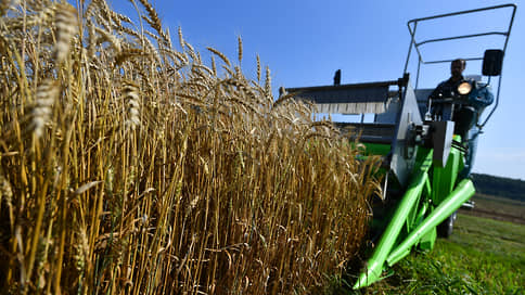 Казахстану не хватило пшеницы // Страна хочет оспорить запрет РФ на экспорт зерна в ЕАЭС