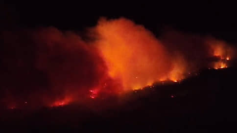 Лесные пожары в Рязанской области // Кадры из пострадавших от огня районов