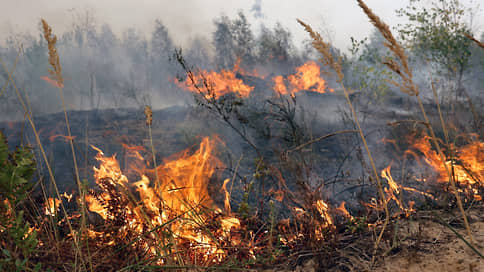 Рязанские леса горят в режиме ЧС // Численность московской группировки пожарных в регионе увеличена в 21 раз