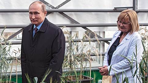 Колосуй, а то проиграешь! // Как и где Владимир Путин встретил крепких сельскохозяйственников