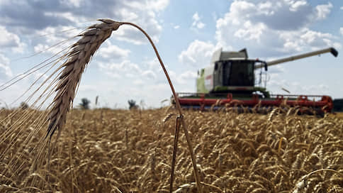 Такая пшеница нужна самому // Россия сокращает экспорт зерна