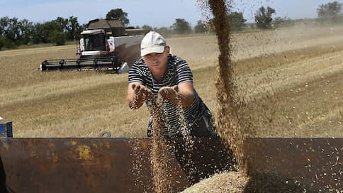 Экспорт пшеницы сжался // Вывоз зерновых в июле может быть самым низким с 2017 года