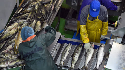 Рыбные заводы меняют инвесторов // ГК «Агама» и РРПК отказываются от проектов в Мурманске