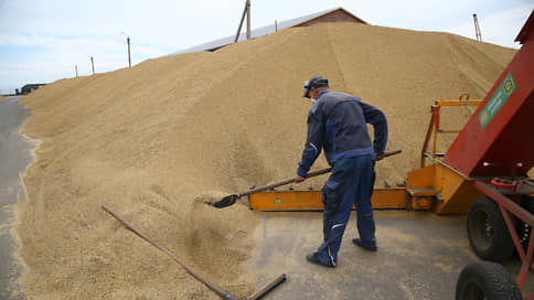 Терминалы пересыпают пшеницу // Месячная перевалка зерна в Новороссийске обновляет рекорды