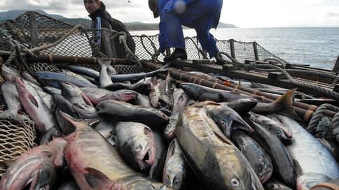 Квоты пустили на фарш // Рыбопромышленники предложили увеличить объемы переработки