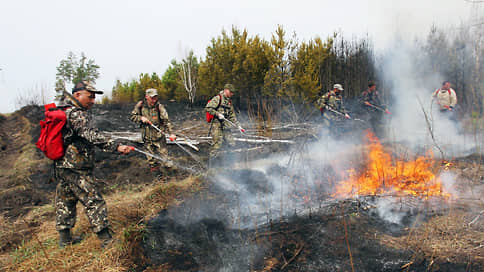 В лесах потеряли пожары // Минприроды пожаловалось в Генпрокуратуру на регионы за сокрытие данных о возгораниях