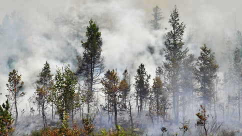 Горелым потянуло с юга // Рослесхоз дал прогноз лесных возгораний на август