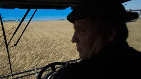 Колосья склонились к рублю // Пшеница в России начала дешеветь