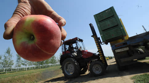 С яблонь посыпались инвесторы // Партнеры Геннадия Тимченко в агробизнесе продают долю