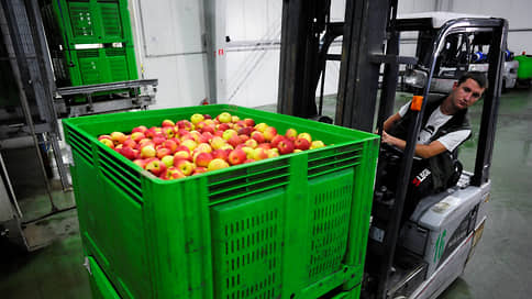 Яблоки сравнят с урожаем // С нелегальным импортом будут бороться учетом и аккредитацией