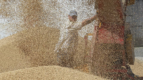 Пшеницу режут под корень // Цены на фураж в ряде регионов обновляют многолетние минимумы