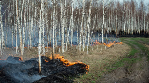 На борьбу с огнем пришел «Циклон» // В регионах России продолжают бушевать природные пожары