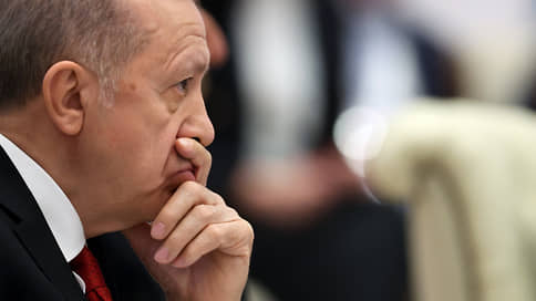 Эрдоган: Турция и Россия продолжат работать над выводом российского зерна на мировые рынки