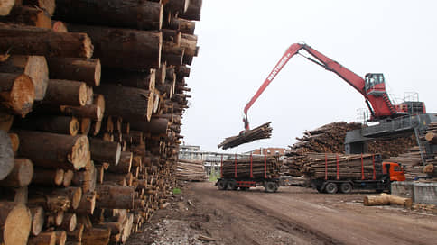 Санкции постучали по дереву // Нижегородские лесозаготовщики попросили промышленной и финансовой поддержки