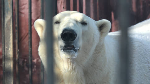 Россельхознадзор выдал Пермскому зоопарку лицензию на осуществление деятельности