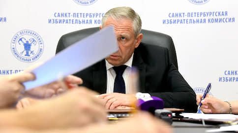Вирус поразил избирательный процесс // Петербургский горизбирком просит ЦИК отложить довыборы в местный парламент