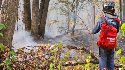 В Тольятти ищут поджигателя лесов // В Самарской области возбуждено второе уголовное дело после лесных пожаров