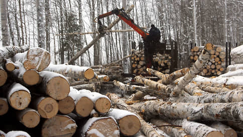 Депутата направили лесом // Прокуратура требует от экс-министра отдать 35 млн рублей