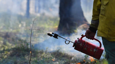 Продукт горения // В Башкирии принята программа для борьбы с лесными пожарами