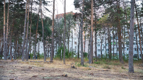Кто влез по дрова // Владельцы почти 45 га парка на окраине Воронежа готовы к обмену участков
