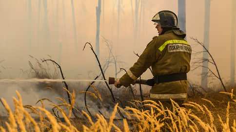 Огонь прошел по верхам // Крупные ландшафтные пожары под Воронежем затронули интересы строителей
