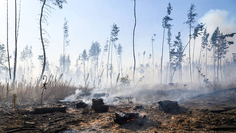 Воронежцев отдаляют от пожаров // Крупнейшие возгорания в регионе локализованы, а погорельцам начали выплату компенсаций