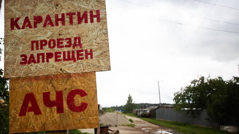 Очаги чумы ограничивают режимом // В Курской области пытаются остановить распространение АЧС