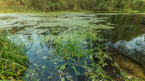 Стоки делят по статьям // Силовики подбирают санкции загрязнителям реки Усмань в Липецкой области