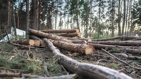Северный лес компенсируют южным // Собственникам участков в зеленой зоне Воронежа предложили варианты на замену