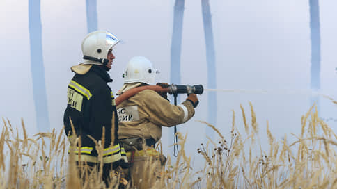 Черноземье не зажглось // Нынешняя весна стала самой благополучной для макрорегиона по пожарам за последние годы