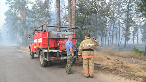 В воронежских лесах ждут жары // В регионе наращивают силы для борьбы с возможными лесными пожарами