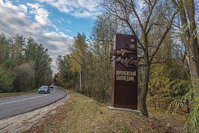 фото Олега Харсеева